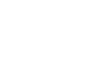 Bohemian Homes Czech Republic logo
