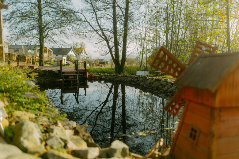 Tranquil pond reflecting trees at Bohemian Homes, Bohemian Switzerland, Czech Republic.