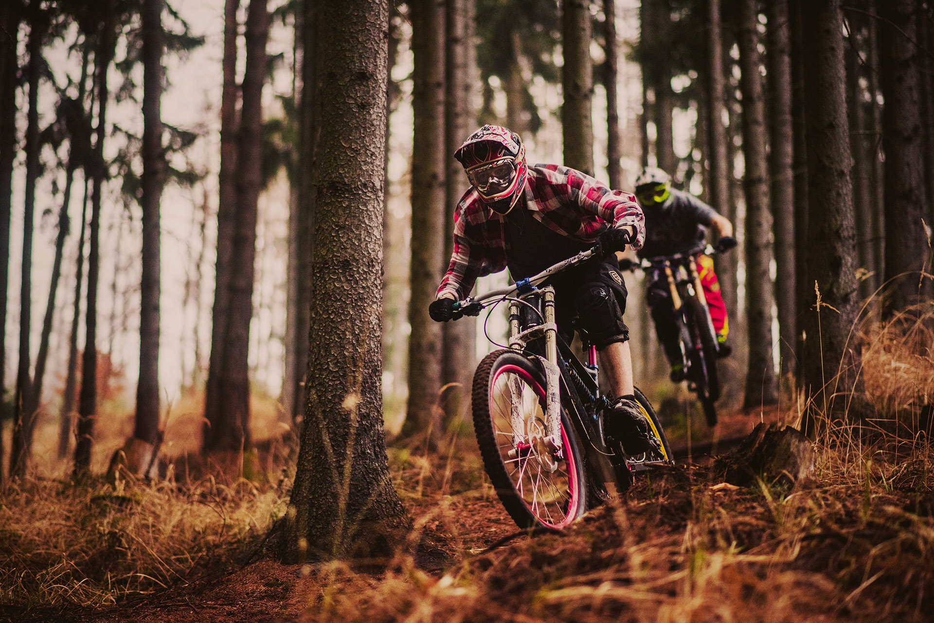 Mountain Biking Tour Image