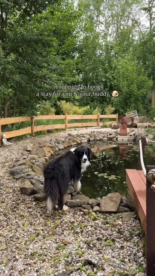 Because getaways are better together. 🐶🏡

Spend a weekend surrounded by nature and enjoy wellness your way with sauna heat, a natural pond to cool down and fresh air everywhere you go. With plenty of green space to run free, your buddy will love it just as much as you do.

Book your stay at Bohemian Homes. 🏡🌿

#bohemianhomes #czechvacation #holidayhome #summer #chalet #countryside #dogfriendly #amazingplacescz #uzasnamista #ceskesvycarsko #bohemian_switzerland #dnescestujem #visitcz #kudyznudy #dovolenavcesku #vikendovepobyty